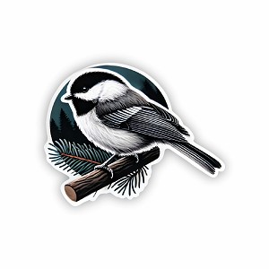 Black-Capped Chickadee.  Sticker (Peel N' Stick)