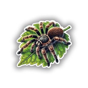 Tarantula on Leaf   Sticker (Peel N' Stick)