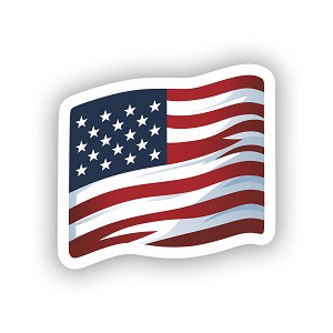 Sleek American Flag Sticker (Peel N' Stick)