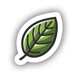 Minimalist Green Leaf Sticker (Peel N' Stick)