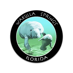 21000-VLD966 Wakulla Springs Florida United_States Sticker (Peel N' Stick)