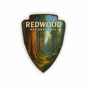 Redwood National Park Ultra-Realistic Scene  Sticker (Peel N' Stick)