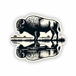 American Bison by Pond  Sticker (Peel N' Stick)