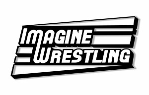 IMAGINE WRESTLING   Precision Cut Decal