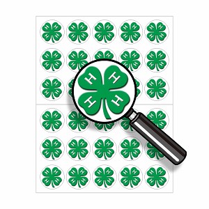 4H-Clover Round Dot Stickers