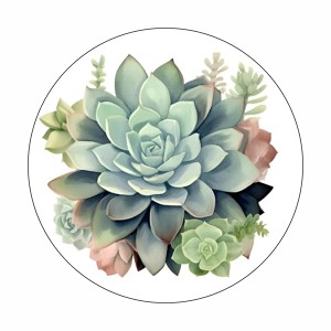 Succulent Plant  Round Dot Stickers Set