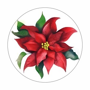 Christmas Poinsettia Round Dot Stickers Set