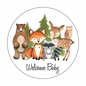 Woodland Animal Welcome Baby Shower Round Dot Stickers Set