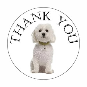 Thank You Dog White Bichon Frise Round Dot Stickers Set