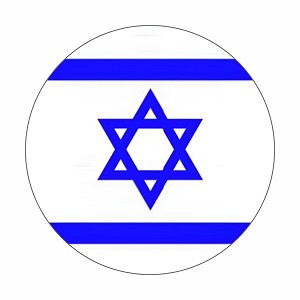 Israel Blue Star Flag Support  Round Dot Stickers Set