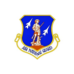 Air National Guard Lightning  Precision Cut Decal